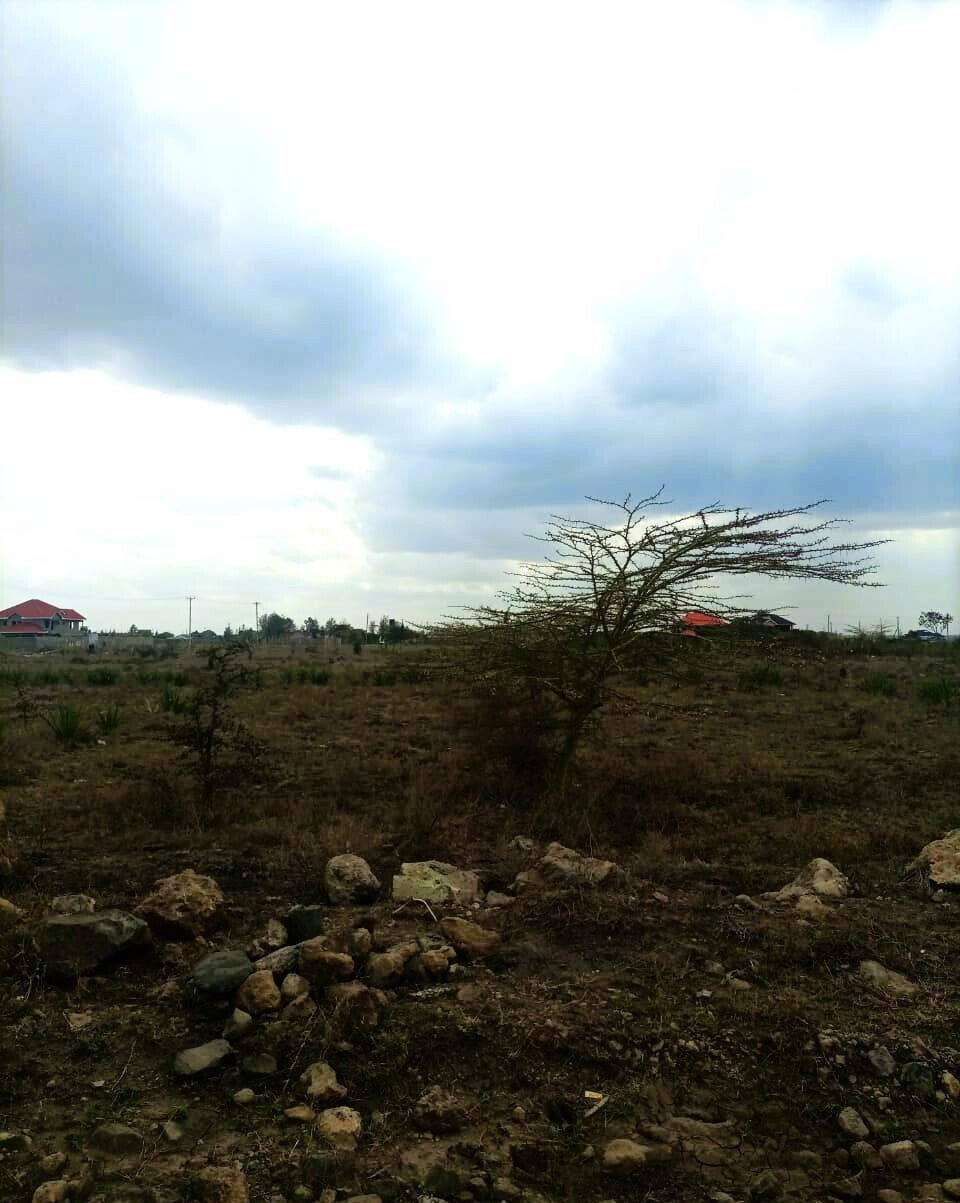 1/8 Acre Plot at KSh 1.8M