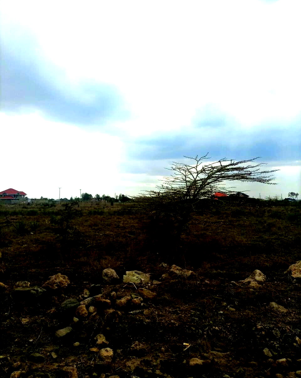 1/8 Acre Plot at KSh 1.8M
