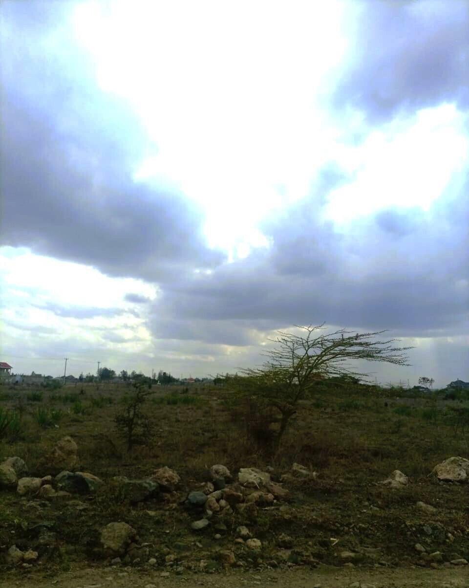1/8 Acre Plot at KSh 1.8M