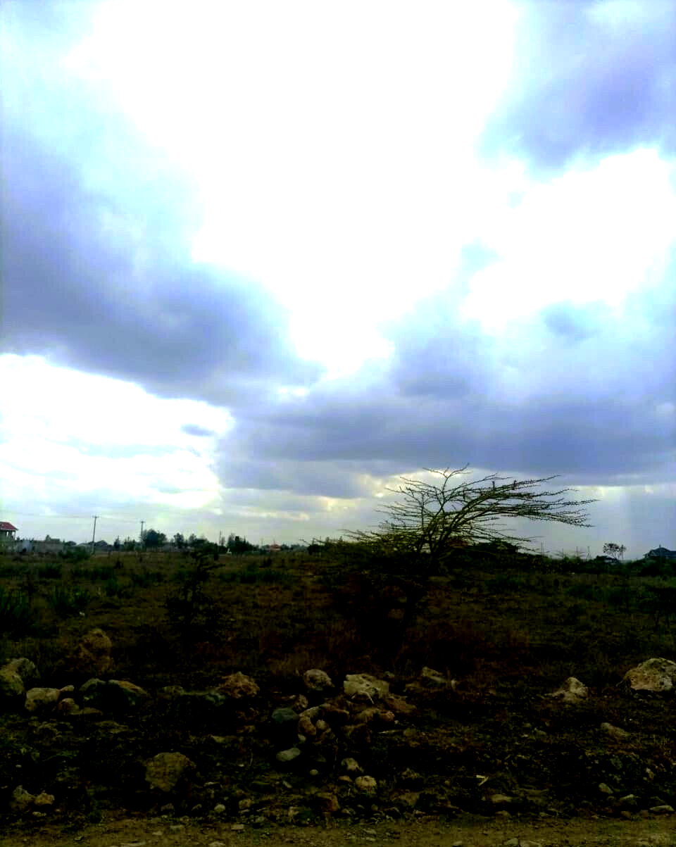 1/8 Acre Plot at KSh 1.8M
