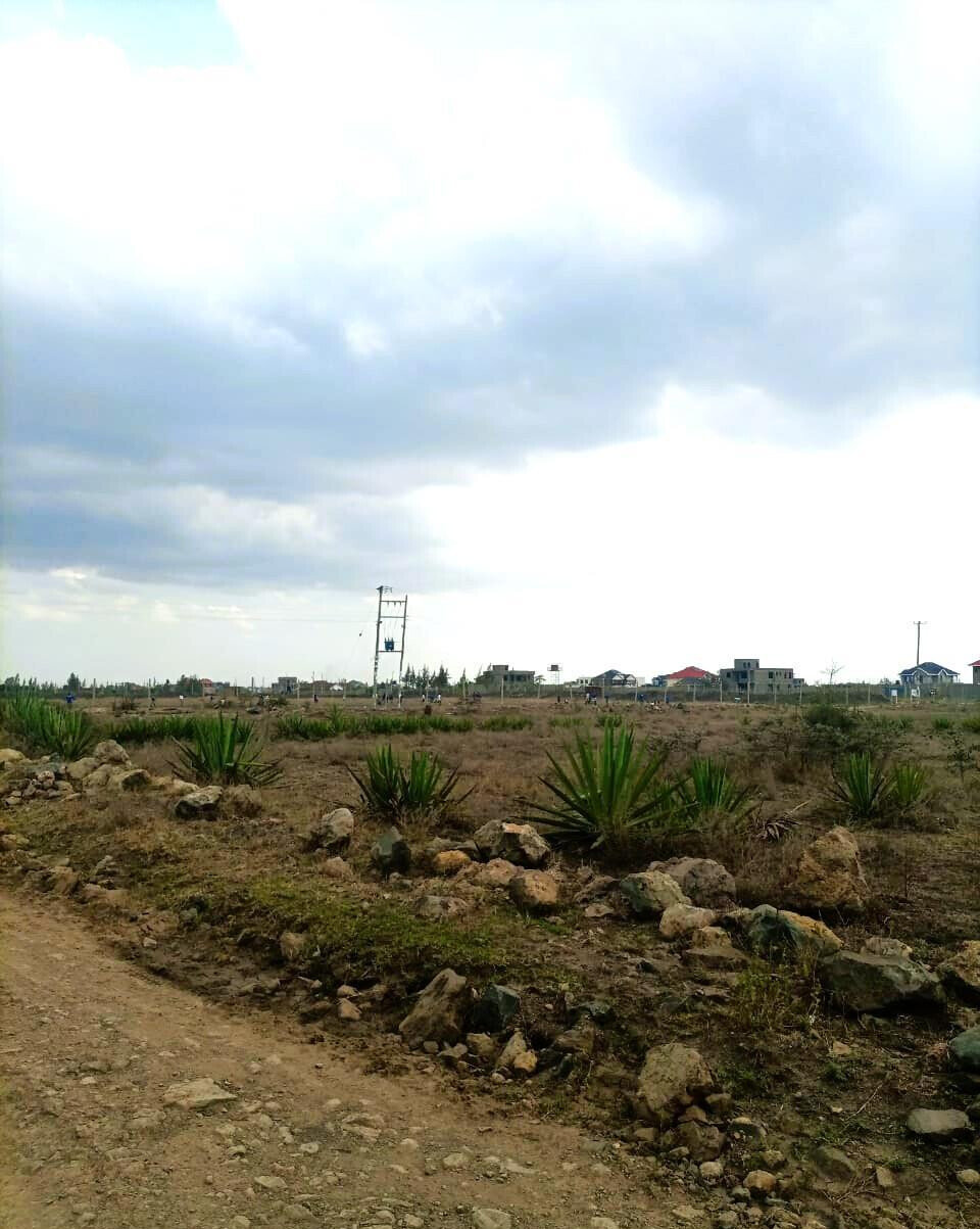 1/8 Acre Plot at KSh 1.8M