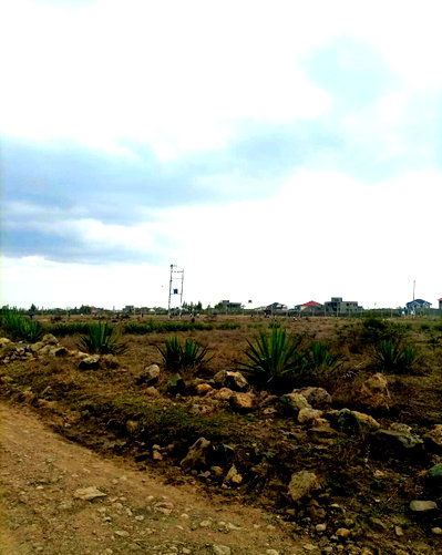 1/8 Acre Plot at KSh 1.8M