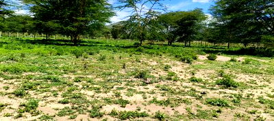 Commercial Plots in Juja - Image 2