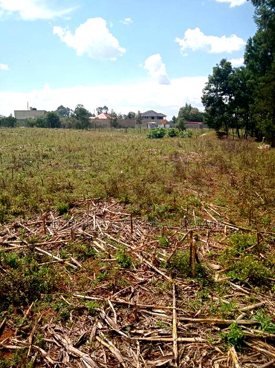 1/4 Plot Plus an 1/8 Plot One Title Kiplombe. - Image 1