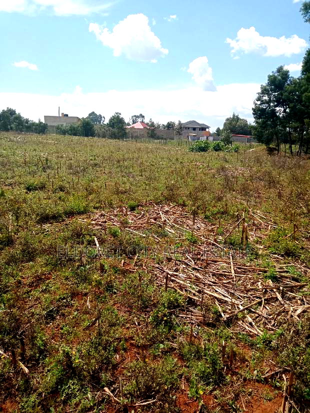 1/4 Plot Plus an 1/8 Plot One Title Kiplombe.