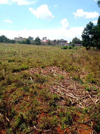 1/4 Plot Plus an 1/8 Plot One Title Kiplombe. - Image 2