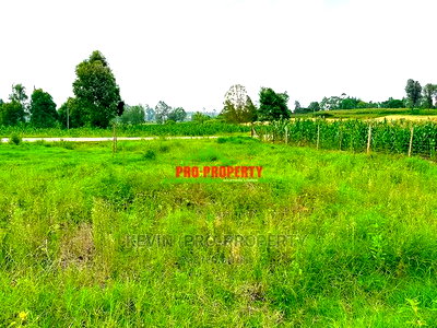 Plots for Sale Touching Tarmac in Kikuyu, Ondiri. - Image 10