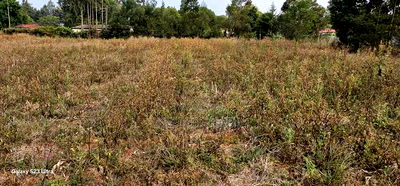 1 Acre Land For Sale In Kipkorgot Eldoret - Image 4