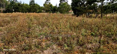 1 Acre Land For Sale In Kipkorgot Eldoret - Image 3