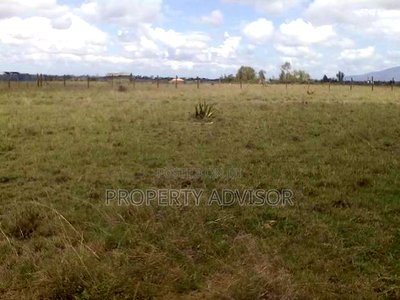 1.25 Acre Land Plot in Muranga Near Mima Gardens - Image 3