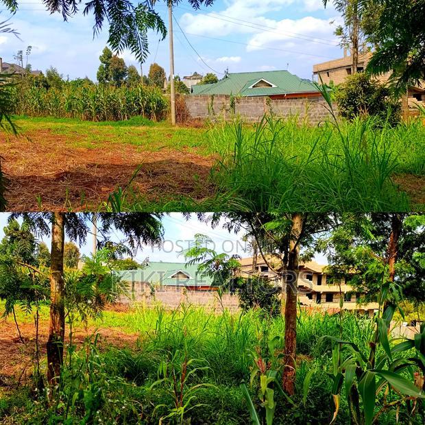 Kikuyu Thamanda Prime Plot