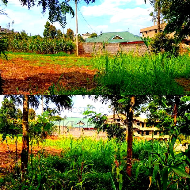 Kikuyu Thamanda Prime Plot