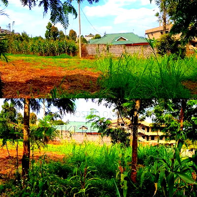 Kikuyu Thamanda Prime Plot - Image 1