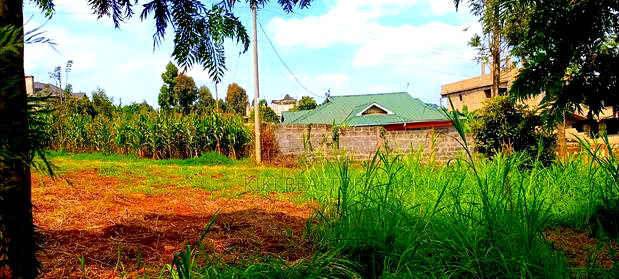 Kikuyu Thamanda Prime Plot