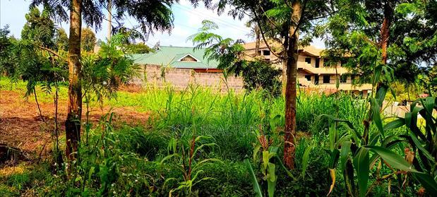 Kikuyu Thamanda Prime Plot