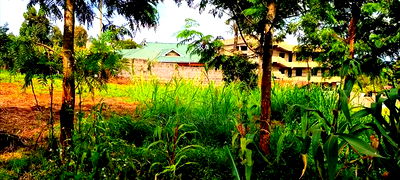 Kikuyu Thamanda Prime Plot - Image 3