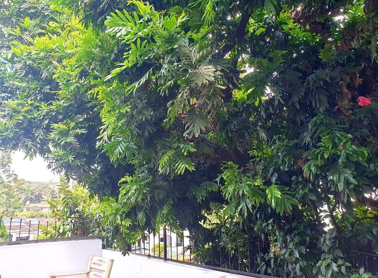 5BR Townhouse with Pool, Gym & Sauna - Riverside, Westlands