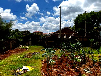Prime 50 by 100 Fts Commercial Plot for Sale in Kinoo. - Image 4