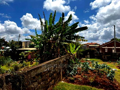 Prime 50 by 100 Fts Commercial Plot for Sale in Kinoo. - Image 6