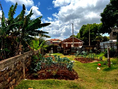 Prime 50 by 100 Fts Commercial Plot for Sale in Kinoo. - Image 11