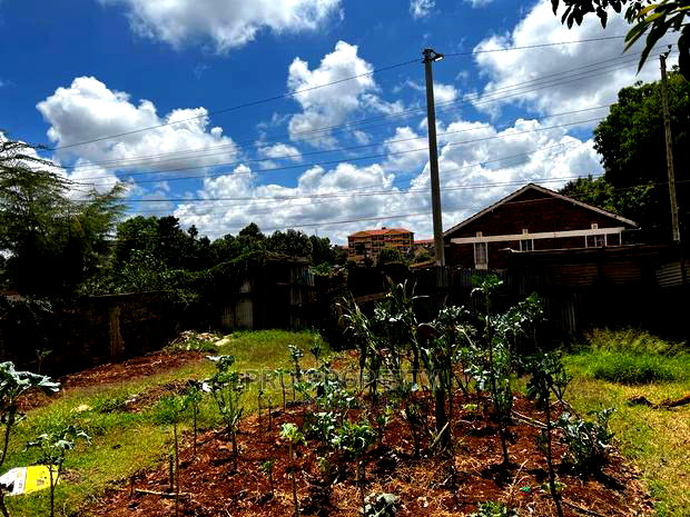 Prime 50 by 100 Fts Commercial Plot for Sale in Kinoo.