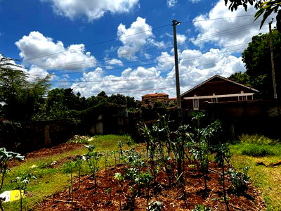 Prime 50 by 100 Fts Commercial Plot for Sale in Kinoo. - Image 1