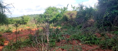 Embu County, Mutuobare Commercial 50x100 Plots Tarmac Road. - Image 10