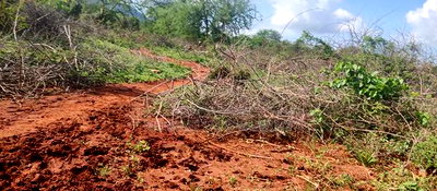 Embu County, Mutuobare Commercial 50x100 Plots Tarmac Road. - Image 18