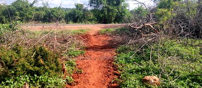 Embu County, Mutuobare Commercial 50x100 Plots Tarmac Road. - Image 6