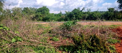 Embu County, Mutuobare Commercial 50x100 Plots Tarmac Road. - Image 4