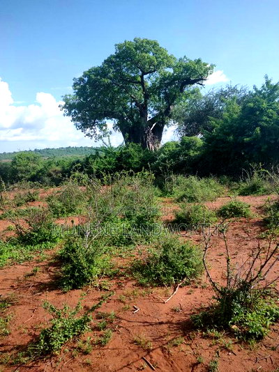 Embu County, Mutuobare Commercial 50x100 Plots Tarmac Road. - Image 8