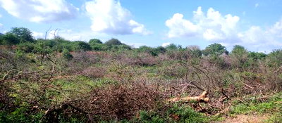 Embu County, Mutuobare Commercial 50x100 Plots Tarmac Road. - Image 19