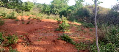 Embu County, Mutuobare Commercial 50x100 Plots Tarmac Road. - Image 9