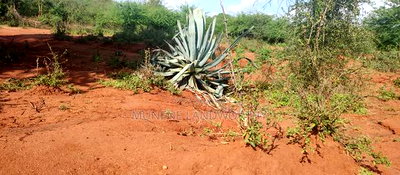 Embu County, Mutuobare Commercial 50x100 Plots Tarmac Road. - Image 14