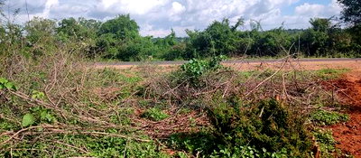 Embu County, Mutuobare Commercial 50x100 Plots Tarmac Road. - Image 3