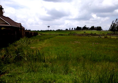 1.2 Acres in Runda at KSh 50M