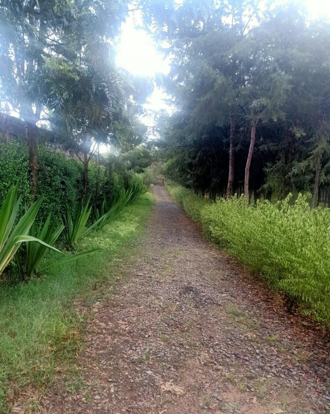 1-Acre Garden Plot with Parking - KSh 55M