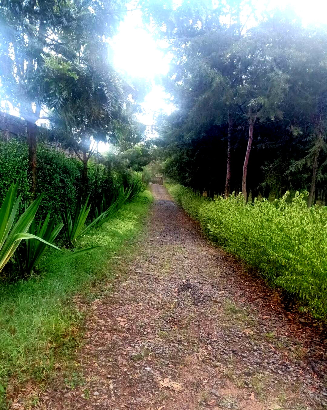 1-Acre Garden Plot with Parking - KSh 55M