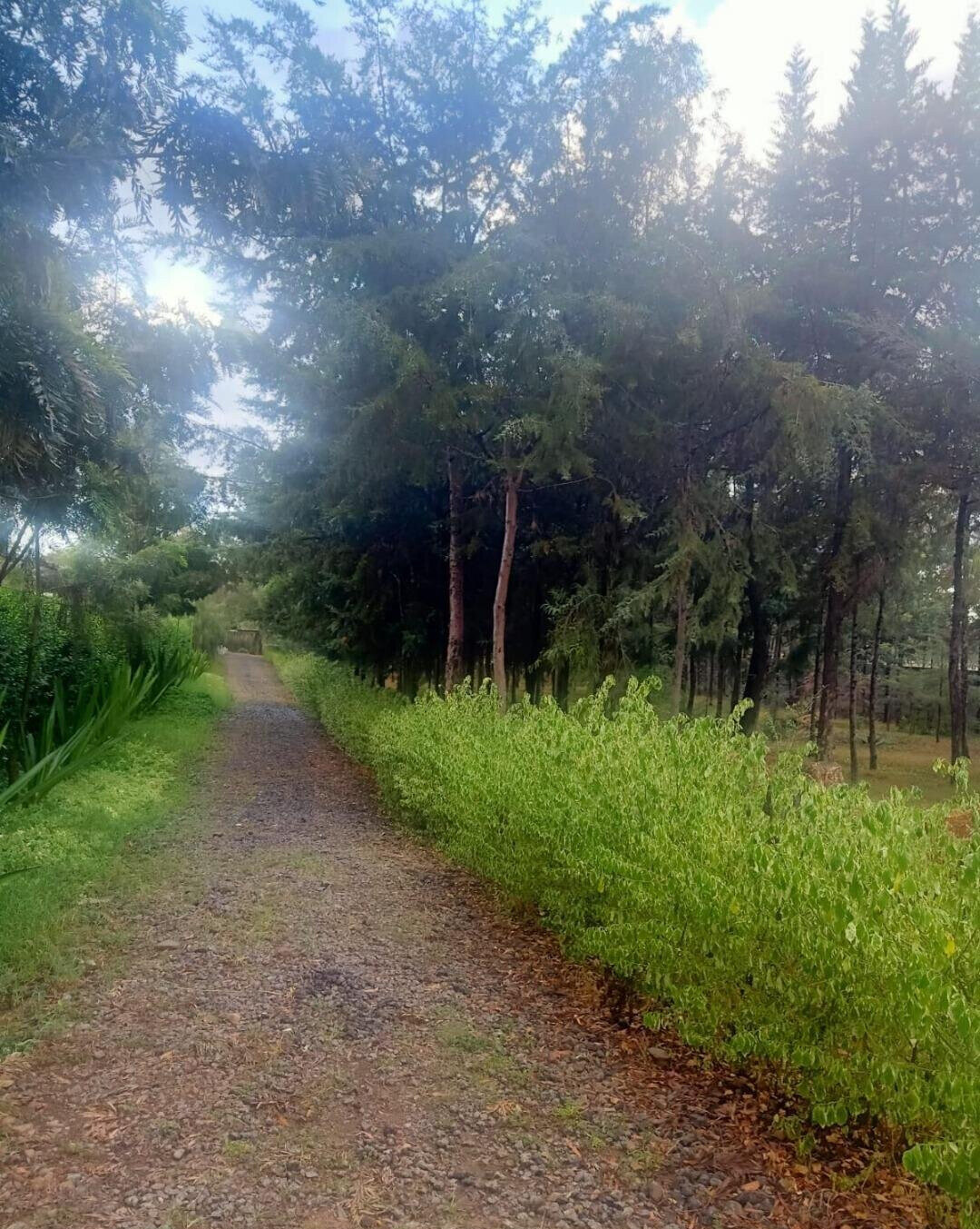 1-Acre Garden Plot with Parking - KSh 55M
