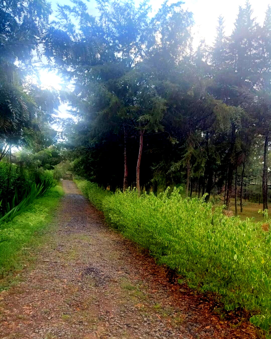 1-Acre Garden Plot with Parking - KSh 55M