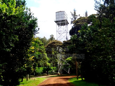 Prime 1/2 Acre Plot for Sale in Karen - Image 2