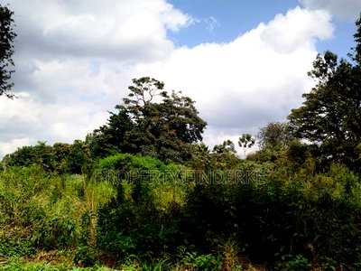 Prime 1/2 Acre Plot for Sale in Karen - Image 8