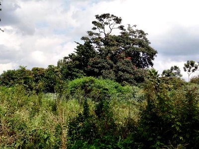 Prime 1/2 Acre Plot for Sale in Karen - Image 9