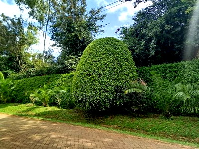 Prime 1/2 Acre Plot for Sale in Karen - Image 10