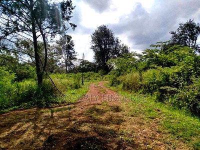 Prime 1/2 Acre Plot for Sale in Karen - Image 12
