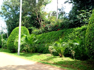 Prime 1/2 Acre Plot for Sale in Karen - Image 7