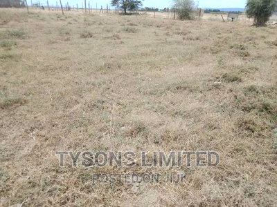 50 by 100 Plots for Sale in Kitengela, Acacia - Image 12