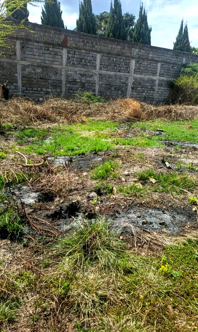 50x100 Garden Plot at KSh 3.8M