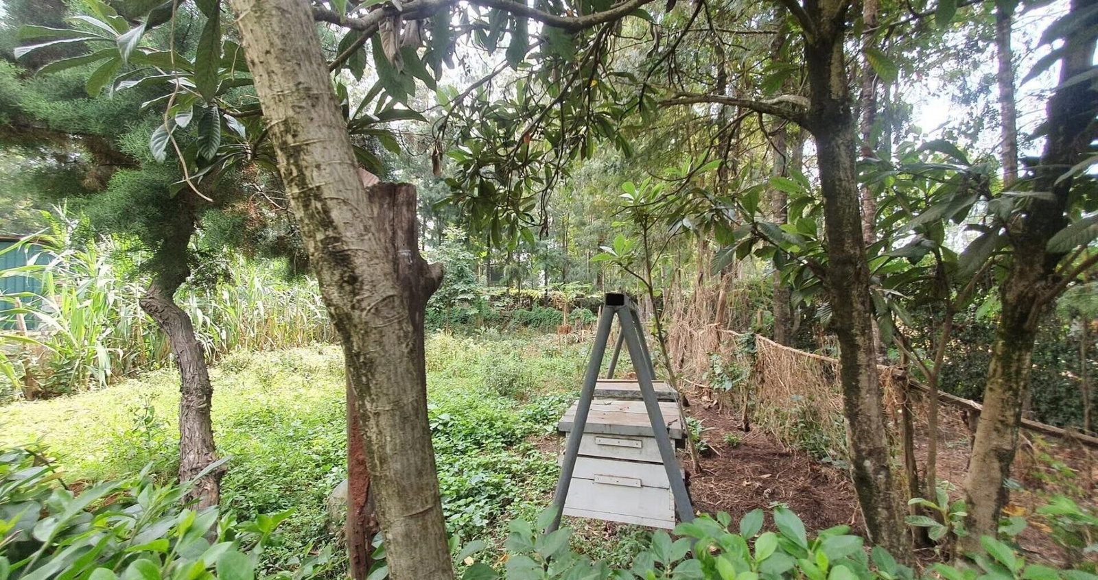 Last 4-Ensuite Villa with DSQ on Half-Acre – Karen