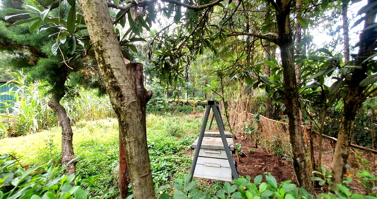 Last 4-Ensuite Villa with DSQ on Half-Acre – Karen